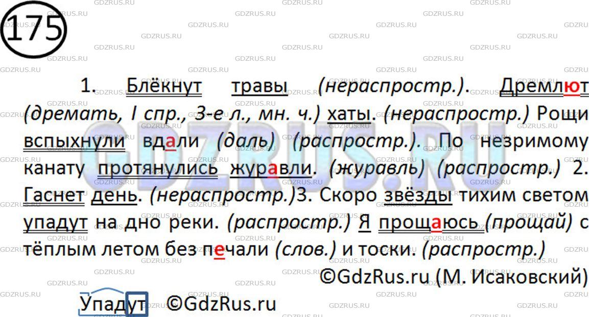 Фото картинка ответа 2: Упражнение № 175 из ГДЗ по Русскому языку 5 класс: Ладыженская
