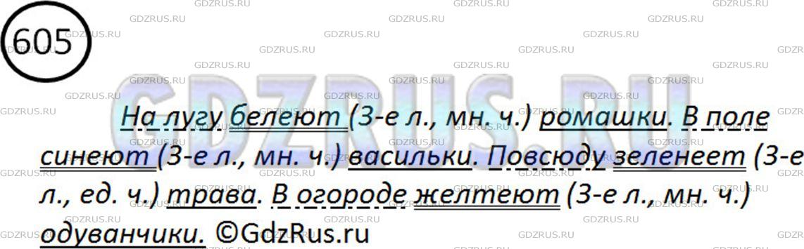 Упр 605 6 класс ладыженская. Русский 5 класс номер 605. Русский язык пятый класс упражнение 605. Укажите с помощью глаголов на цвет ромашки.
