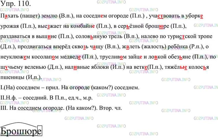 Фото картинка ответа 3: Упражнение № 110 из ГДЗ по Русскому языку 5 класс: Ладыженская