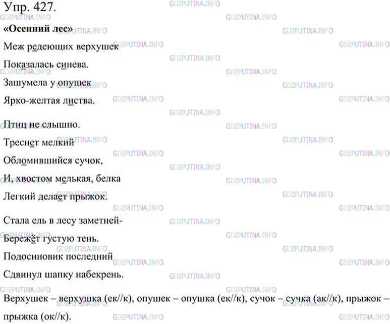 Фото картинка ответа 3: Упражнение № 427 из ГДЗ по Русскому языку 5 класс: Ладыженская