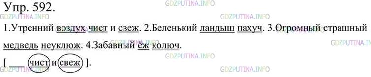 Фото картинка ответа 3: Упражнение № 592 из ГДЗ по Русскому языку 5 класс: Ладыженская
