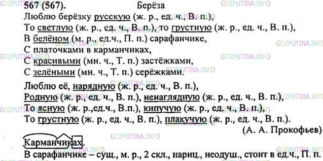 Фото картинка ответа 1: Упражнение № 567 из ГДЗ по Русскому языку 5 класс: Ладыженская